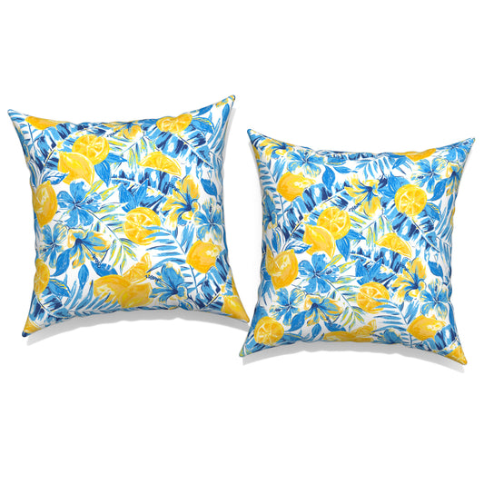 Melody Elephant Pack of 2 Patio Throw Pillow Covers ONLY, Water Repellent Cushion Cases 20x20 Inch, Square Pillowcases for Outdoor Couch Decoration, Lemon Blossom Blue