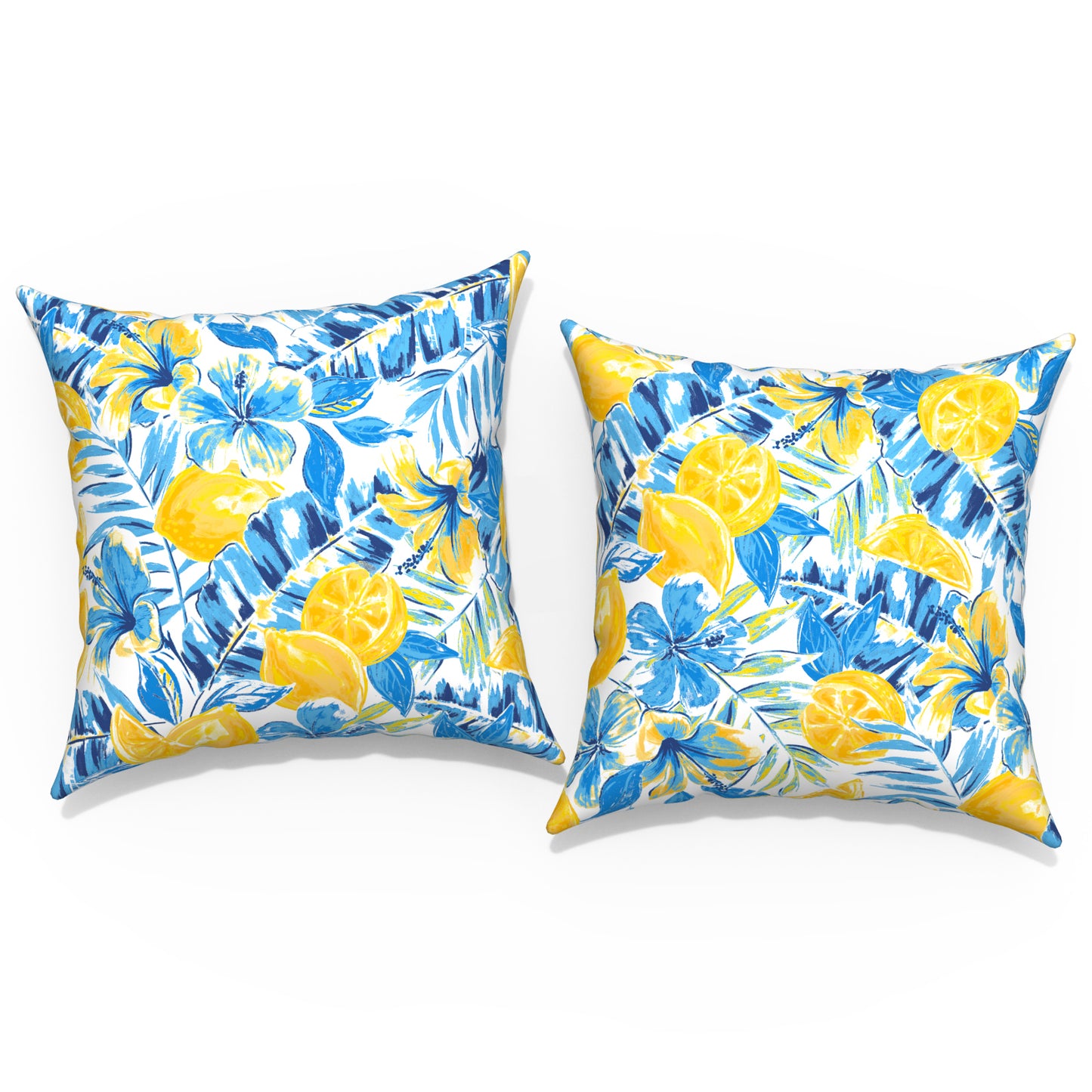 Melody Elephant Outdoor/Indoor Throw Pillow Covers Set of 2, All Weather Square Pillow Cases 16x16 Inch, Patio Cushion Pillow of Home Furniture Use, Lemon Blossom Blue
